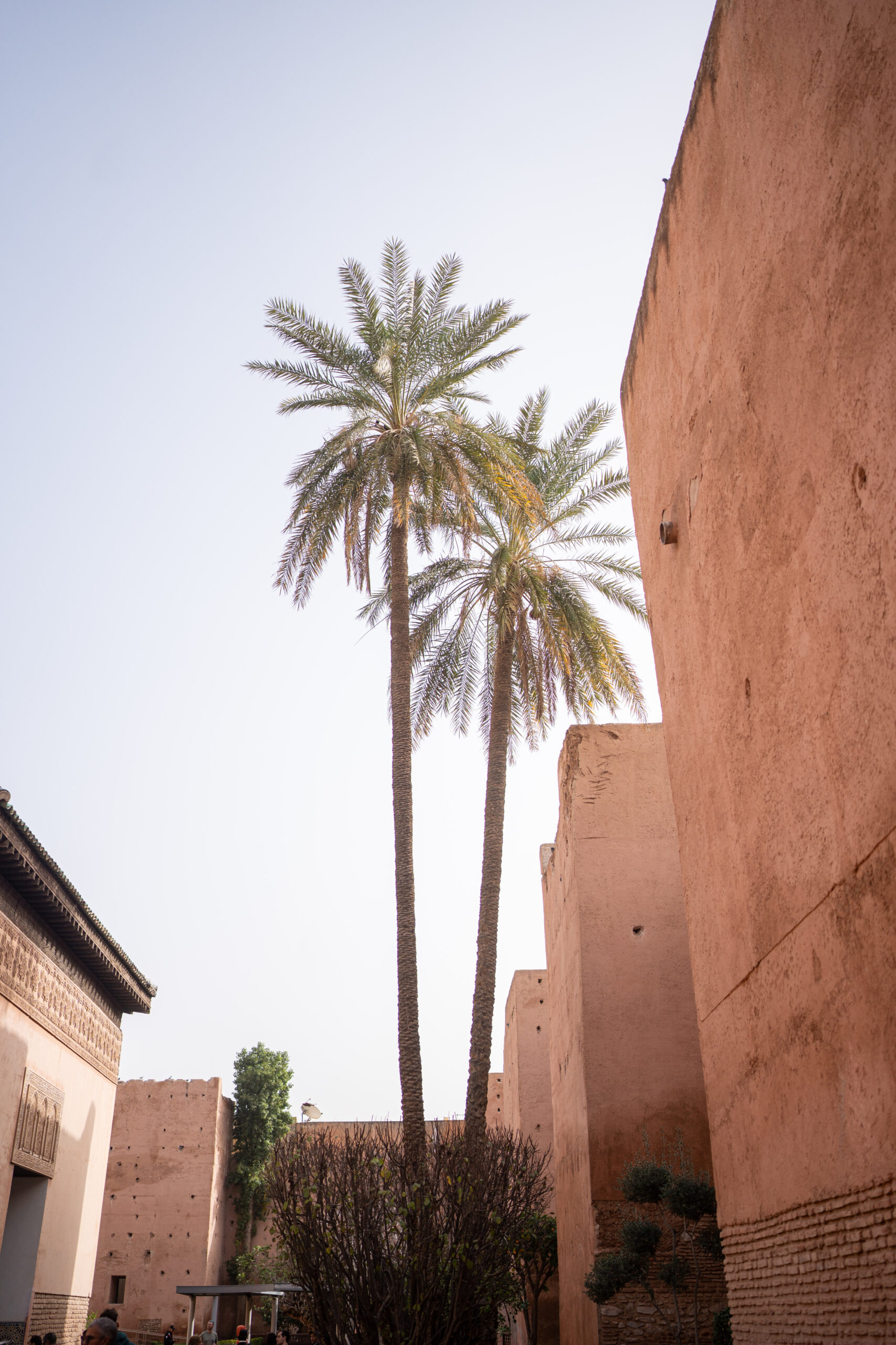 Valorisation de votre riad à Marrakech